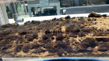 AOAO SAPPOROに投稿された画像（2025/4/14）