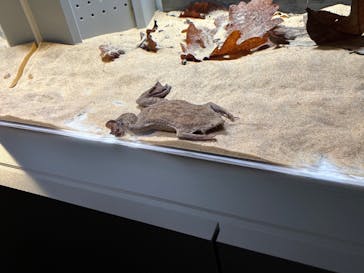 AOAO SAPPOROに投稿された画像（2025/4/14）