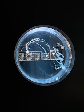 AOAO SAPPOROに投稿された画像（2025/4/14）