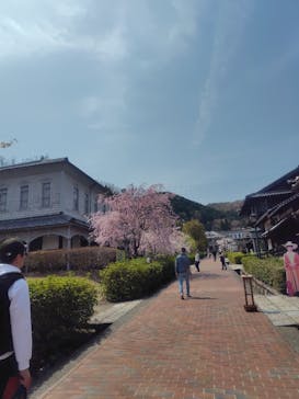 博物館 明治村に投稿された画像（2025/4/14）