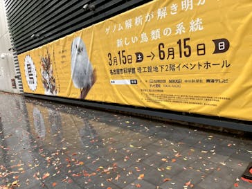 特別展「鳥～ゲノム解析が解き明かす新しい鳥類の系統～」に投稿された画像（2025/4/14）