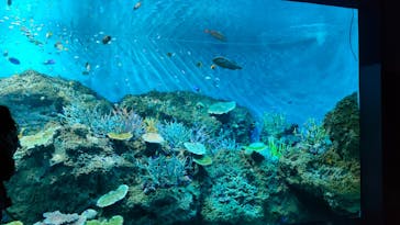 アクアワールド茨城県大洗水族館に投稿された画像（2025/4/14）