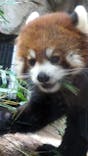 天王寺動物園に投稿された画像（2025/4/14）