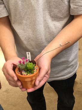 伊豆シャボテン動物公園に投稿された画像（2025/4/14）