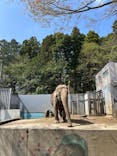 宇都宮動物園に投稿された画像（2025/4/14）