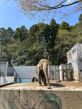 宇都宮動物園に投稿された画像（2025/4/14）