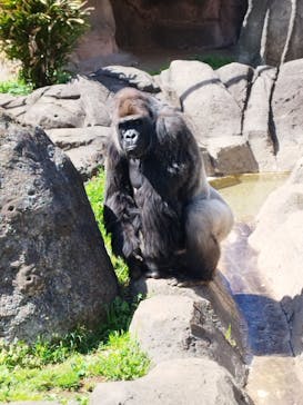 千葉市動物公園に投稿された画像（2025/4/14）