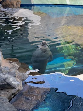 名古屋市東山動植物園に投稿された画像（2025/4/14）