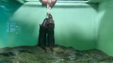 名古屋市東山動植物園に投稿された画像（2025/4/14）