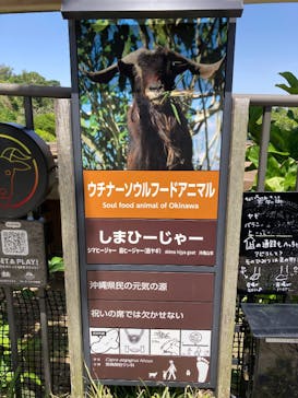 沖縄こどもの国に投稿された画像（2025/4/14）