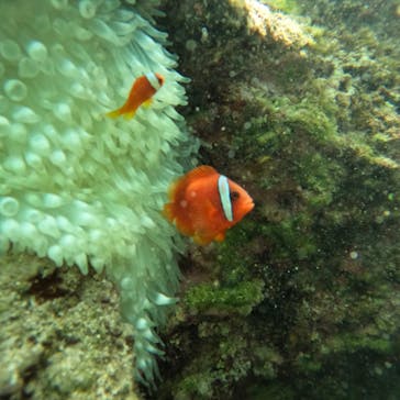 武藤潜水に投稿された画像（2025/4/14）