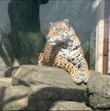 天王寺動物園に投稿された画像（2025/4/14）