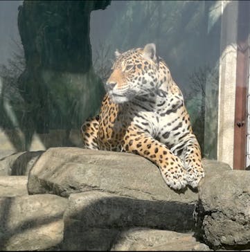 天王寺動物園に投稿された画像（2025/4/14）