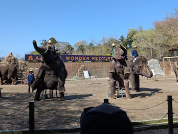 ANIMAL WONDER REZOURT 市原ぞうの国・サユリワールドに投稿された画像（2025/4/14）