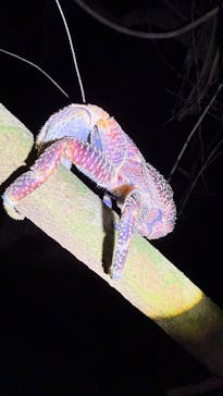 宮古島マリンショップSmileyに投稿された画像（2025/4/14）