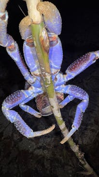 宮古島マリンショップSmileyに投稿された画像（2025/4/14）