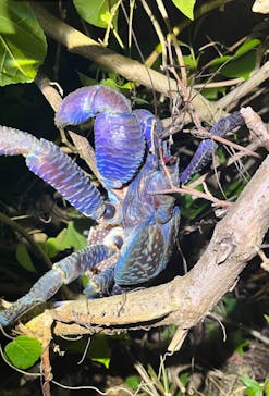 宮古島マリンショップSmileyに投稿された画像（2025/4/14）