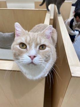 Moff animal cafe イオンモール成田店に投稿された画像（2025/4/14）