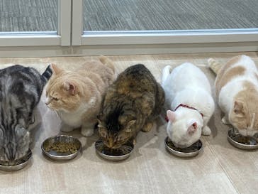 Moff animal cafe イオンモール成田店に投稿された画像（2025/4/14）