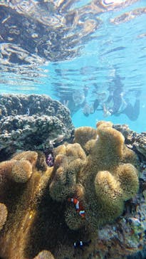 ちゃこたびに投稿された画像（2025/4/14）