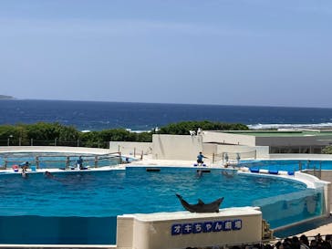 沖縄美ら海水族館に投稿された画像（2025/4/14）