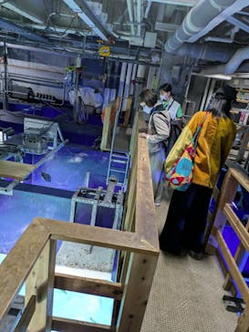 サンシャイン水族館に投稿された画像（2025/4/14）