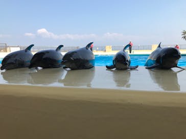 マリンワールド海の中道に投稿された画像（2025/4/14）