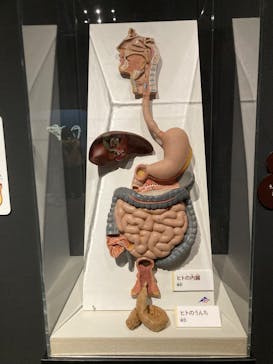  うんち展　-No UNCHI, No LIFE-に投稿された画像（2025/4/14）