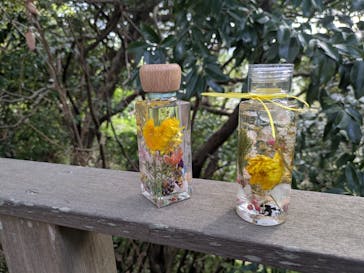 ＊湘南の小さなアトリエ＊Nature Living（ショウナンノチイサナアトリエネイチャーリビング）に投稿された画像（2025/4/14）