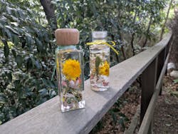 ＊湘南の小さなアトリエ＊Nature Living（ショウナンノチイサナアトリエネイチャーリビング）に投稿された画像（2025/4/14）