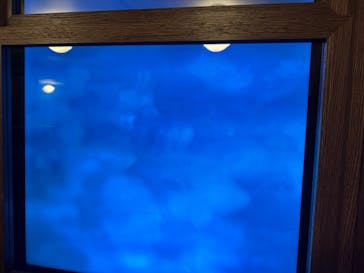 ニジゲンノモリに投稿された画像（2025/4/14）