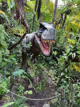 御菓子御殿　名護店　やんばる亜熱帯の森DINO恐竜PARKに投稿された画像（2025/4/14）
