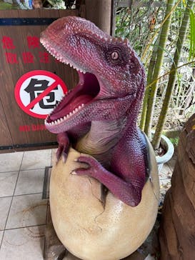御菓子御殿　名護店　やんばる亜熱帯の森DINO恐竜PARKに投稿された画像（2025/4/14）