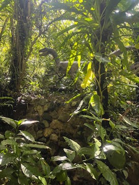 御菓子御殿　名護店　やんばる亜熱帯の森DINO恐竜PARKに投稿された画像（2025/4/14）