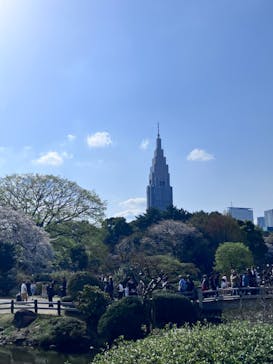新宿御苑に投稿された画像（2025/4/14）
