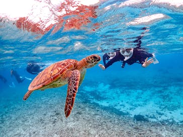 SUNSHINE MARIN 宮古島に投稿された画像（2025/4/14）