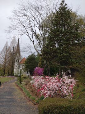 野外民族博物館 リトルワールドに投稿された画像（2025/4/14）