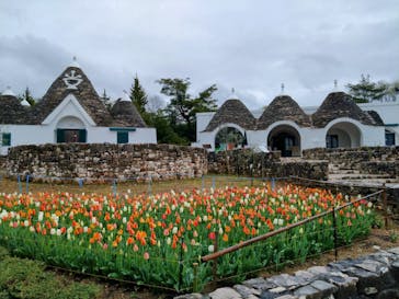 野外民族博物館 リトルワールドに投稿された画像（2025/4/14）
