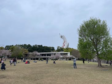 万博記念公園に投稿された画像（2025/4/14）