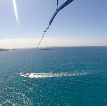 Sea World（シーワールド）に投稿された画像（2025/4/15）