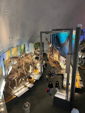 福井県立恐竜博物館に投稿された画像（2025/4/15）