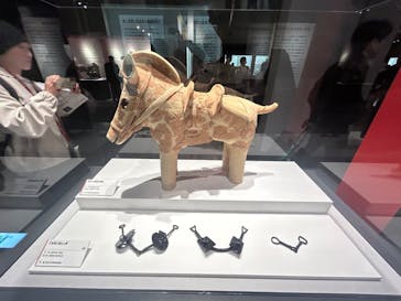 特別展「古代DNA－日本人のきた道」（国立科学博物館）に投稿された画像（2025/4/15）