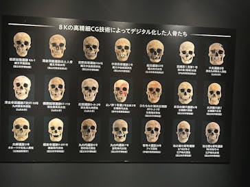 特別展「古代DNA－日本人のきた道」（国立科学博物館）に投稿された画像（2025/4/15）