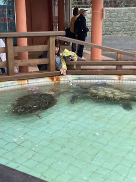 下田海中水族館に投稿された画像（2025/4/15）