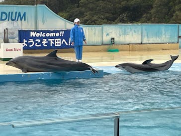 下田海中水族館に投稿された画像（2025/4/15）