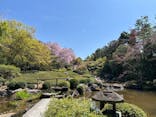 宗教法人退蔵院に投稿された画像（2025/4/15）