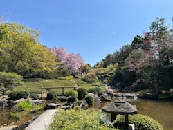 宗教法人退蔵院に投稿された画像（2025/4/15）