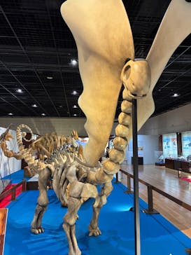 福井県立恐竜博物館に投稿された画像（2025/4/15）
