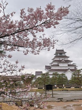 鶴ヶ城に投稿された画像（2025/4/15）