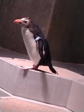 AOAO SAPPOROに投稿された画像（2025/4/15）